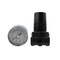 Coilhose Pneumatics Regulator w/Gauge 1/4" MINIATURE AMMR2-G-CS - alternate 2
